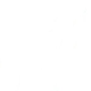 Meet your Posher, Valaya